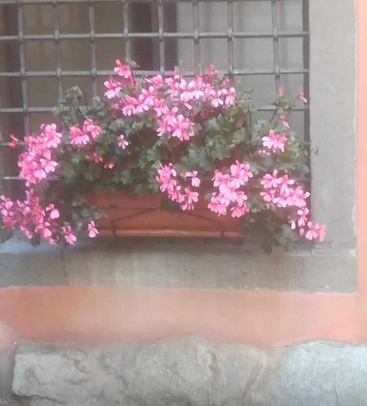 Casa Mirella Apartment Lovere Exterior photo